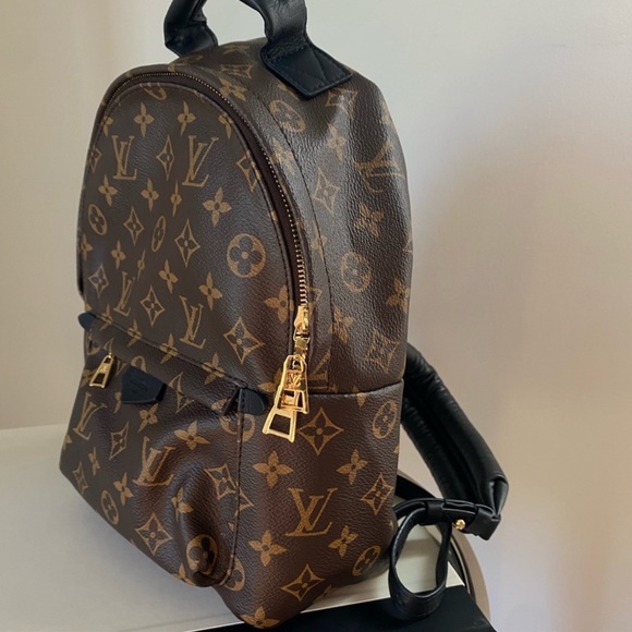 Louis Vuitton Palm Springs PM Backpack - Picture 2 of 10